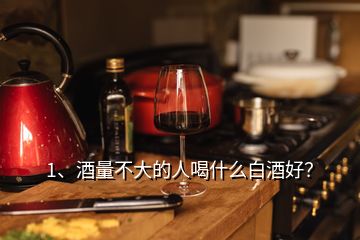 1、酒量不大的人喝什么白酒好？