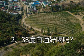 2、38度白酒好喝嗎？