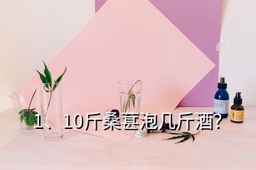 1、10斤桑葚泡幾斤酒？