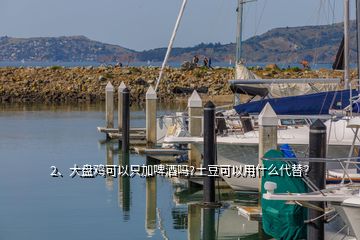 2、大盤雞可以只加啤酒嗎?土豆可以用什么代替？