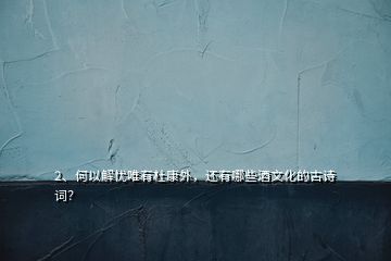 2、何以解憂唯有杜康外，還有哪些酒文化的古詩詞？