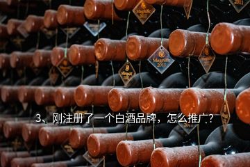 3、剛注冊了一個白酒品牌，怎么推廣？