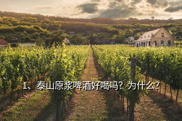 1、泰山原漿啤酒好喝嗎？為什么？