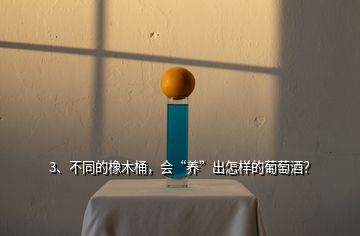 3、不同的橡木桶，會“養(yǎng)”出怎樣的葡萄酒？