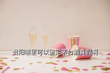 貴陽哪里可以鑒定茅臺酒真假啊