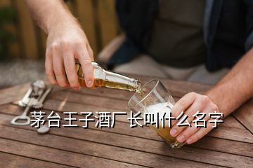 茅臺王子酒廠長叫什么名字