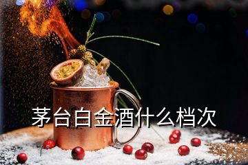 茅臺白金酒什么檔次