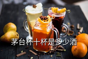 茅臺杯十杯是多少酒