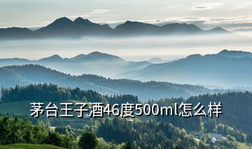 茅臺王子酒46度500ml怎么樣