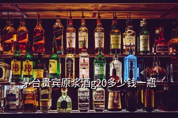 茅臺(tái)貴賓原漿酒g20多少錢一瓶