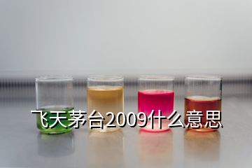 飛天茅臺2009什么意思