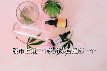 股市上第二個貴州茅臺是哪一個