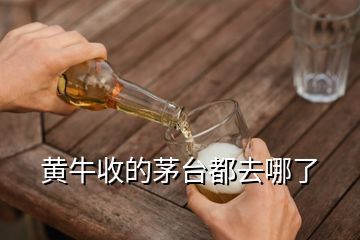 黃牛收的茅臺(tái)都去哪了