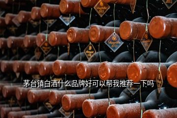 茅臺鎮(zhèn)白酒什么品牌好可以幫我推薦一下嗎