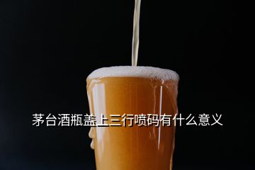 茅臺酒瓶蓋上三行噴碼有什么意義