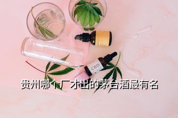 貴州哪個(gè)廠才出的茅臺(tái)酒最有名