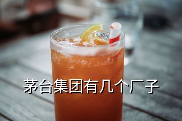 茅臺集團有幾個廠子