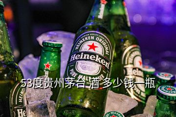 53度貴州茅臺 酒 多少錢一瓶