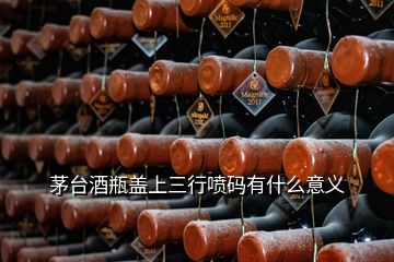 茅臺(tái)酒瓶蓋上三行噴碼有什么意義