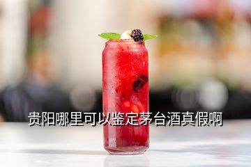 貴陽(yáng)哪里可以鑒定茅臺(tái)酒真假啊