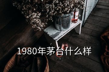 1980年茅臺什么樣