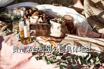 貴州茅臺(tái)股份公司具體地址