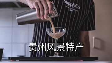 貴州風景特產