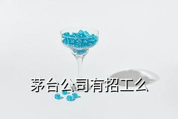 茅臺公司有招工么