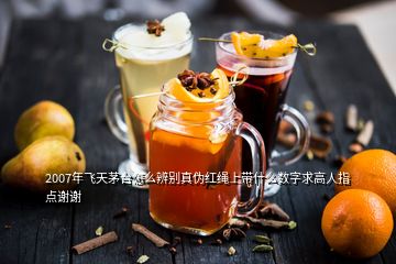 2007年飛天茅臺(tái)怎么辨別真?zhèn)渭t繩上帶什么數(shù)字求高人指點(diǎn)謝謝