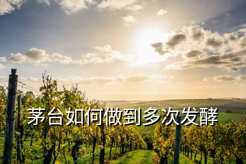 茅臺如何做到多次發(fā)酵