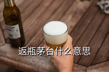 返瓶茅臺什么意思