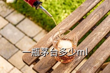 一瓶茅臺多少ml