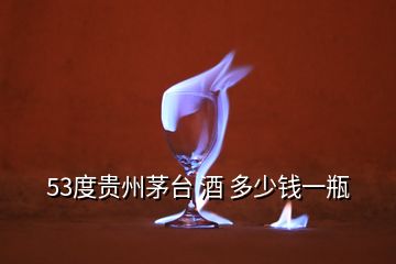 53度貴州茅臺(tái) 酒 多少錢(qián)一瓶