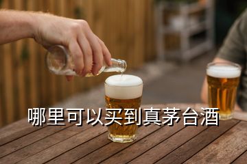 哪里可以買到真茅臺酒