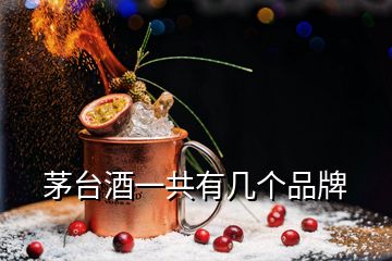 茅臺酒一共有幾個品牌