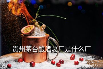 貴州茅臺釀酒總廠是什么廠