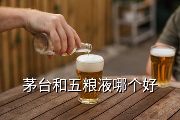 茅臺和五糧液哪個好