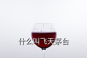 什么叫飛天茅臺(tái)