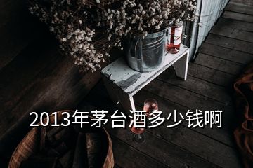 2013年茅臺(tái)酒多少錢啊