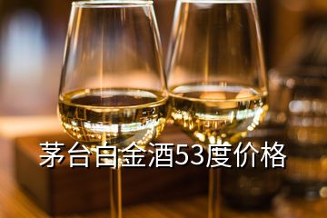 茅臺(tái)白金酒53度價(jià)格