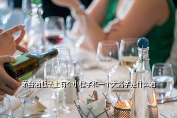 茅臺(tái)酒瓶子上有個(gè)小程字和一個(gè)大醬字是什么酒