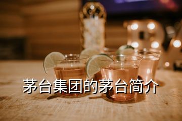 茅臺集團(tuán)的茅臺簡介