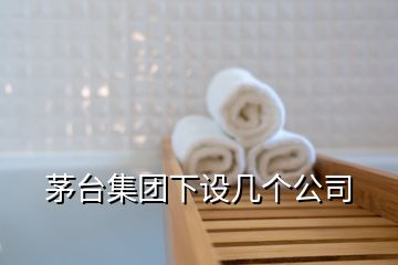 茅臺集團下設(shè)幾個公司