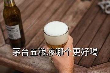 茅臺(tái)五糧液哪個(gè)更好喝