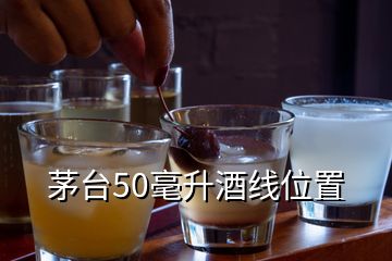 茅臺(tái)50毫升酒線位置