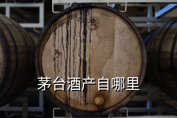 茅臺(tái)酒產(chǎn)自哪里