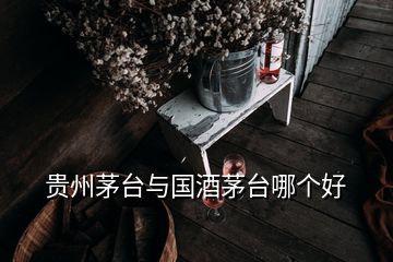 貴州茅臺(tái)與國(guó)酒茅臺(tái)哪個(gè)好