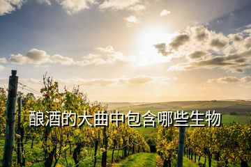 釀酒的大曲中包含哪些生物