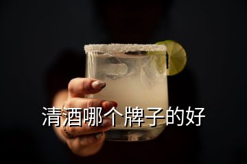 清酒哪個(gè)牌子的好