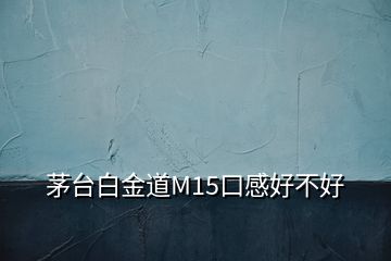 茅臺(tái)白金道M15口感好不好